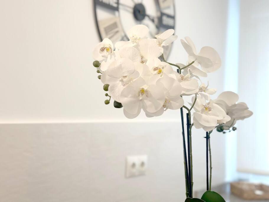 Apartamento Reformado En Santoña מראה חיצוני תמונה